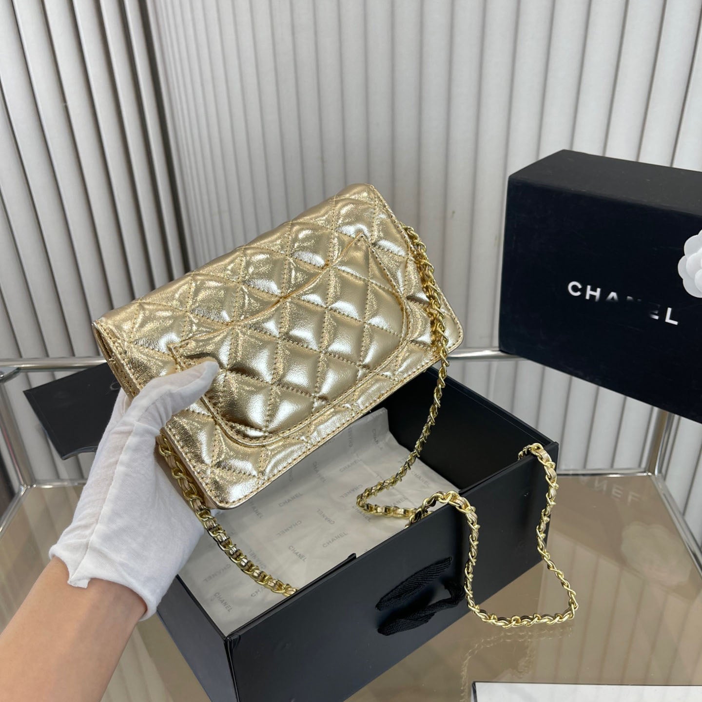 Golden Retro Leisure Fortune Bag WLFBG23021723