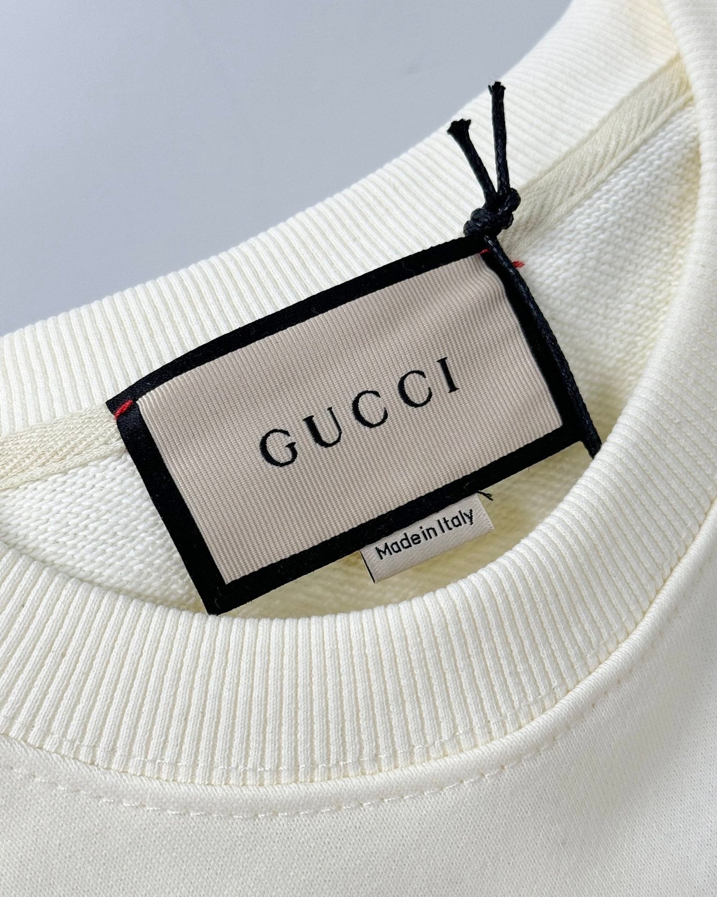 GG 24ss red and blue striped print sweatshirt 1824102213