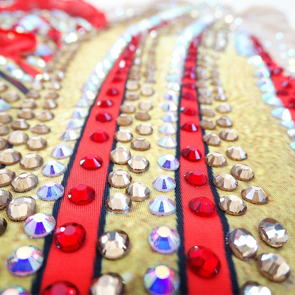 LH Rhythmic Gymnastics BD1045