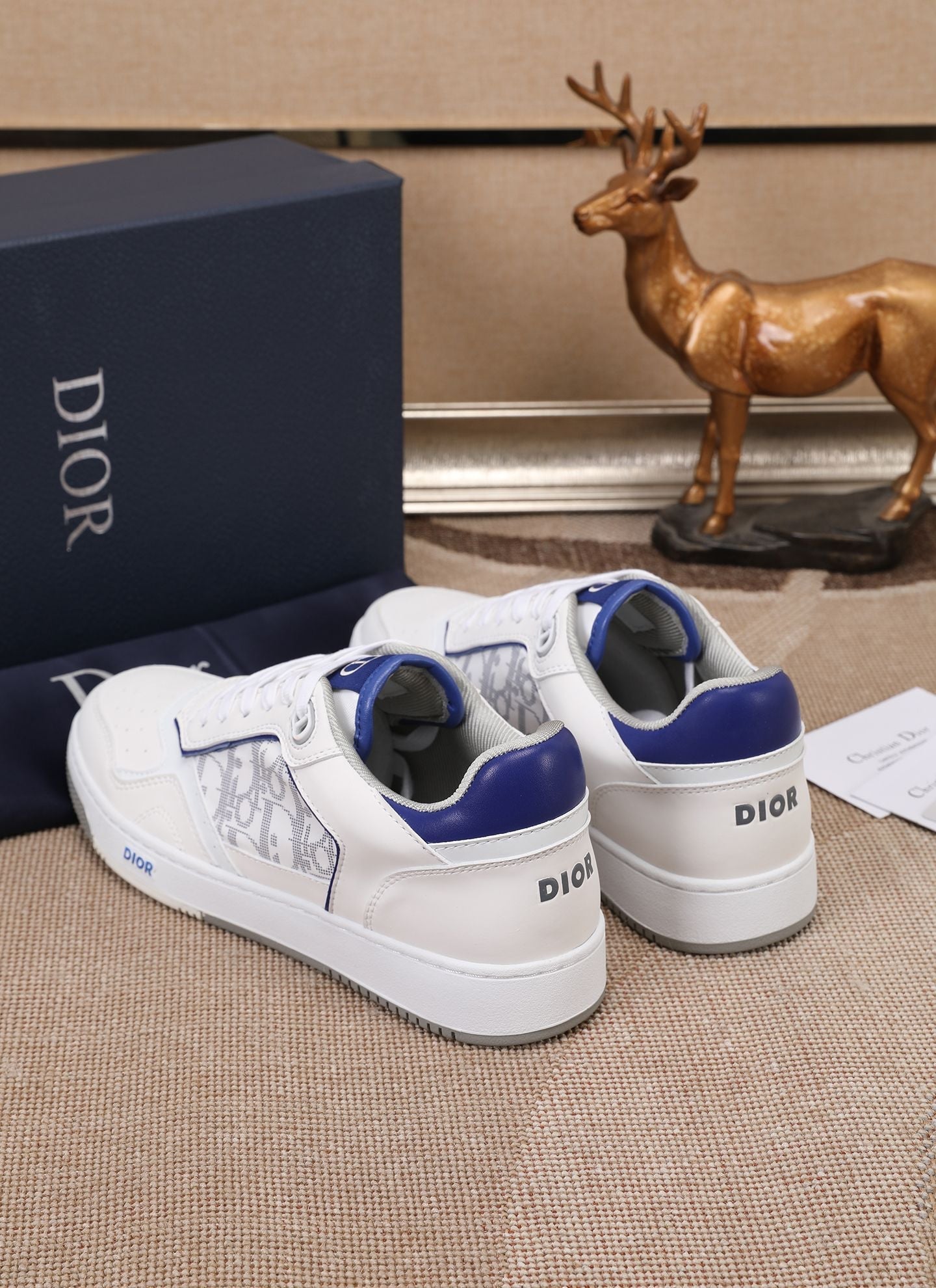 CD B27 Low Top Oblique Sneaker 1825052704