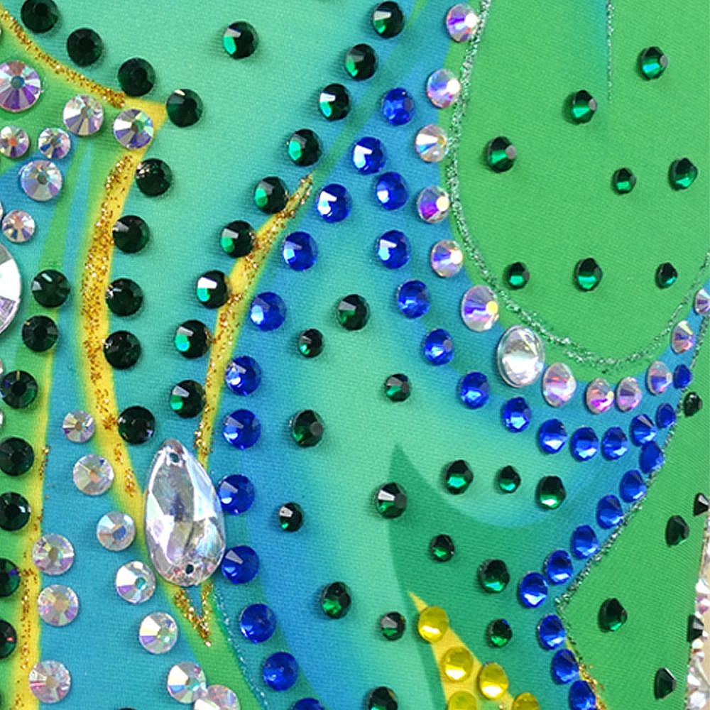 LH Rhythmic Gymnastics BD1083