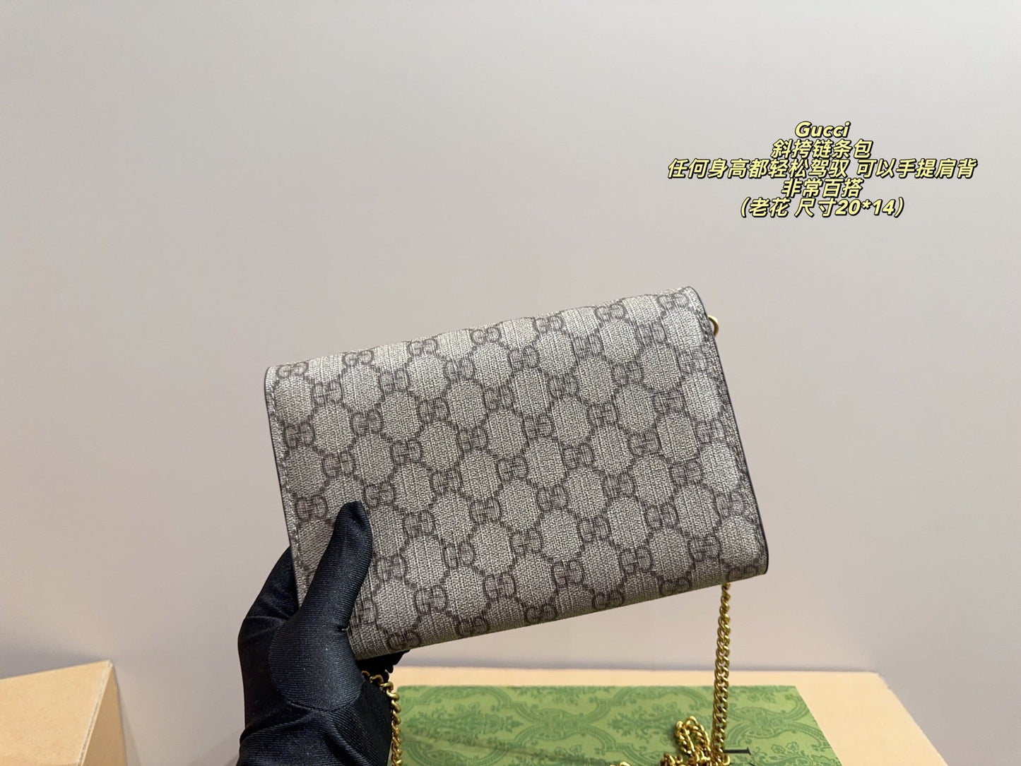 Fashionable  Bag 25090405